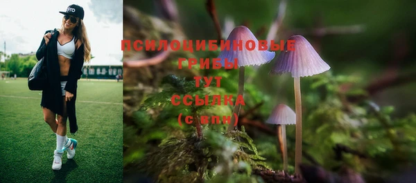 первитин Покровск