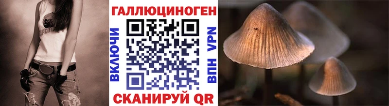 Псилоцибиновые грибы GOLDEN TEACHER  kraken зеркало  Богучар  дарнет шоп 
